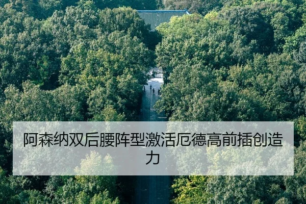 a-sen-na-shuang-hou-yao-zhen-xing-ji-huo-e-de-gao-qian-cha-chuang-zao-li-2-968.jpg