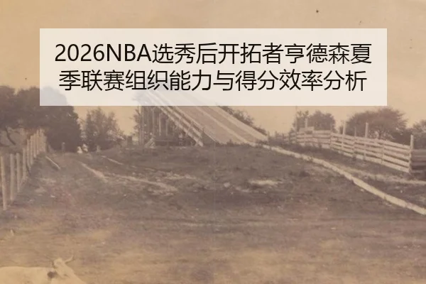 xuan-xiu-hou-kai-tuo-zhe-heng-de-sen-xia-ji-lian-sai-zu-zhi-neng-li-yu-de-fen-xiao-lv-fen-xi-3-163.jpg