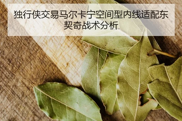 du-xing-xia-jiao-yi-ma-er-ka-ning-kong-jian-xing-nei-xian-shi-pei-dong-qi-qi-zhan-shu-fen-xi-2-342.jpg
